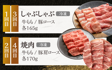 【定期便４回】 飛騨牛＆納豆喰豚 お楽しみ定期便（しゃぶしゃぶ用、焼肉用）天狗 なっとく豚 飛騨牛 牛 牛肉 焼き肉 しゃぶしゃぶ 食べ比べ 定期便 4カ月 定期下呂温泉 おすすめ 豚肉 なっとくとん