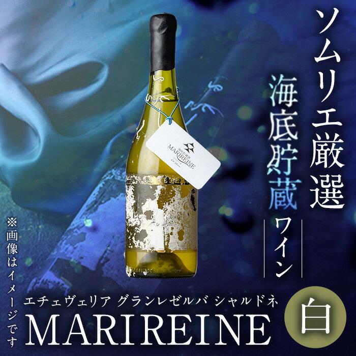 【ふるさと納税】海底貯蔵ワイン 白 MARIREINE エチェヴェリア グランレゼルバ シャルドネ2022 (750ml・1本) チリワイン ワイン 白ワイン 酒 パーティー マリレーヌ 海底酒 熟成 大分県 佐伯市【FP029】【フルタ酒店】