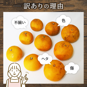 訳あり 八朔 約2kg はっさく 