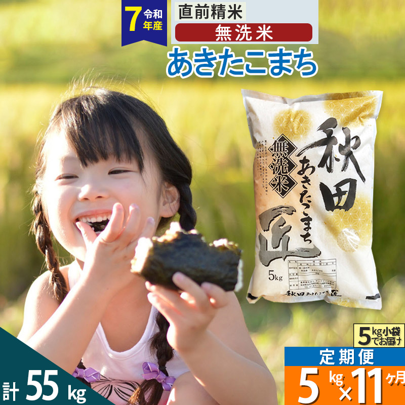 【無洗米】＜令和8年産 新米予約＞《定期便11ヶ月》秋田県産 あきたこまち 5kg (5kg×1袋) ×11回 5キロ お米 匠