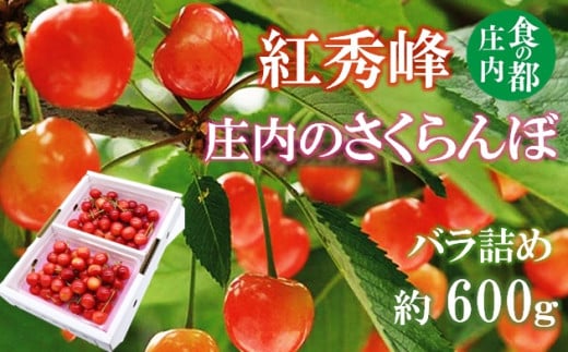 ★先行予約★食の都庄内　【令和7年産】庄内のさくらんぼ「紅秀峰」600gバラ詰め※令和7年6月中下旬～7月上旬頃発送予定