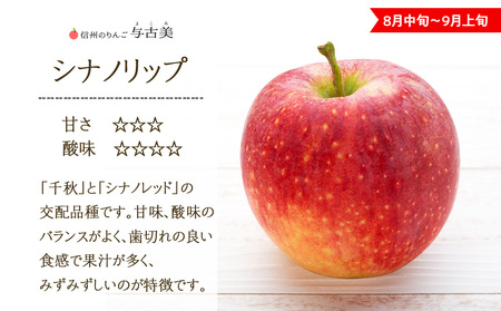  りんご シナノリップ 約3kg 2025年 令和7年度発送分 リンゴ 林檎 長野 フルーツ 果物 信州産 長野県産 特産 産地直送 おすすめ