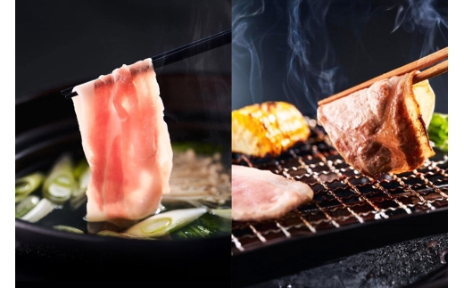 《定期便1ヶ月毎に9回お届け》 燦然 豚ウデモモ切り落とし（200g×6p入） 使いやすい小分パック 青森県十和田市産 [豚肉 赤身 パック 200g 小分け さんぜん 国産]