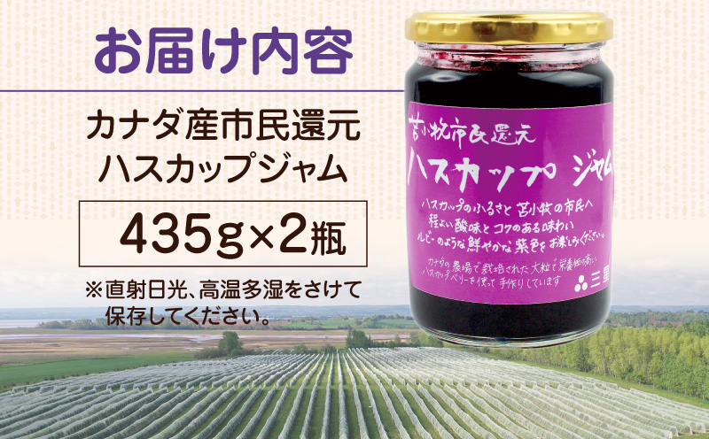 カナダ産 苫小牧市民還元 ハスカップジャム 435g（2瓶）　T044-017-02