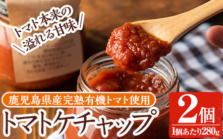 《数量限定》トマトケチャップ(280g×2個)  鹿児島県 有機野菜 完熟 とまと 【雲月農園】_y380