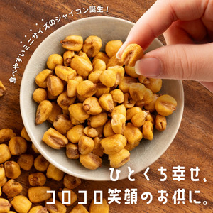 MH140-0098-5_コロコンズ チーズ 250g×4