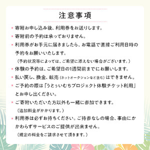 【ふるさと納税】☆沖縄貸衣装体験☆～貸衣装で美浜アメリカンビレッジ散策～  | 沖縄 旅行 クーポン 体験 トラベル 人気 おすすめ リゾート チケット 北谷 ちゃたん おすすめ 送料無料