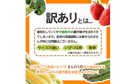 ＜期間限定！2026年2月上旬以降順次発送予定＞＜訳あり＞ 香川県産 ブロッコリー (約4kg) 国産 野菜 産地直送 新鮮 冷蔵便 【man058・man108】【Aglio nero】
