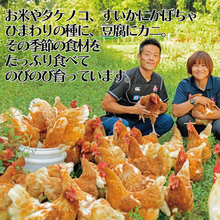 155J.平飼い鶏の『いのちのたまご』60個