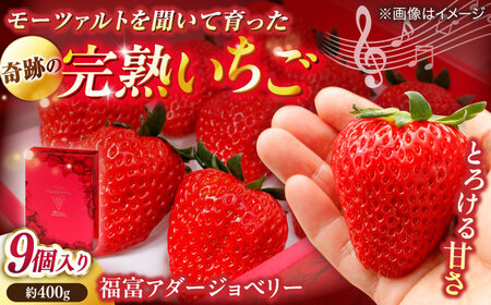 【数量限定20セット】島根県松江市「のつ農園」　完熟いちご「福富アダージョベリー」９個入り 島根県松江市/山陰中央テレビジョン放送株式会社[ALFI002]