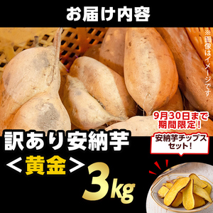 n387 ＜期間・数量限定セット！先行予約受付中！2025年9月下旬頃から12月中の発送予定＞《訳あり》種子島産 安納芋＜黄金＞(3kg)＆安納芋チップス1袋セット 国産 安納芋 黄金 こがね コガネ