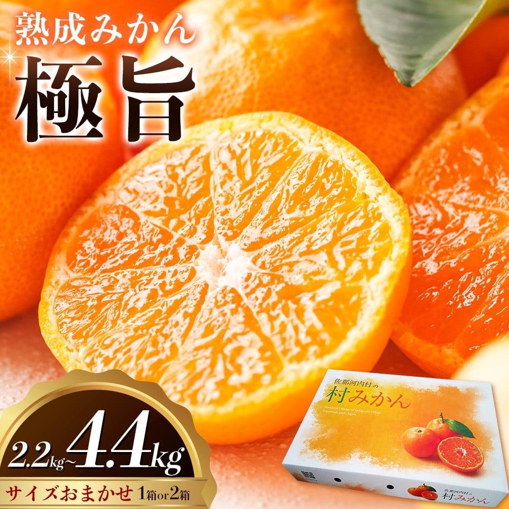 
            ＜先行予約＞ 熟成みかん『極旨』2箱【配送不可地域あり】※離島 《2月初旬-2月末頃出荷予定》みかん ミカン 蜜柑 mikan 柑橘 佐那河内 さなごうち 徳島県 箱入り 化粧箱 S M L フルーツ 果物 くだもの 贈答 進物
          