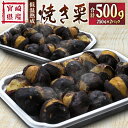 【ふるさと納税】＜先行予約＞宮崎県産 低温熟成栗［焼き栗］計500g（250g×2パック）