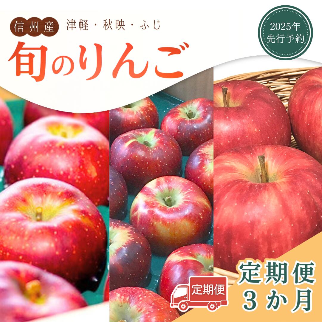 【ふるさと納税】 【定期便3回】旬のりんご定期便（津軽・秋映・ふじ） 林檎 食べ比べ 長野県 千曲市