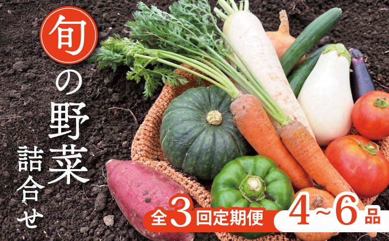 
                  【定期便3回】野菜セット 4~6種  定期便 レギュラーコース お野菜の定期便 野菜定期便 野菜セット 野菜詰め合わせ 京野菜 野菜 やさい 冷蔵 セット 季節 旬 自然 詰合せ おまかせ 3ヶ月 3か月 3カ月 鍋 鍋セット 希少 新鮮 春野菜 夏野菜 秋野菜 冬野菜 人気 ランキング お取り寄せ ふるさと納税 京都 京都府
                