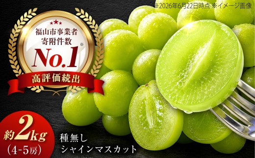 シャインマスカット【先行予約・9月上旬〜9月下旬頃発送】シャインマスカット 沼隈ぶどう 約2kg(4〜5房)  シャインマスカット しゃいんますかっと マスカット ますかっと 数量限定 期間限定 ぶどう ブドウ 葡萄 種なし たねなし 大粒 マスカット シャインマスカット しゃいんますかっと 果物 フルーツ  福山市/福山市農業協同組合[BAEV004]