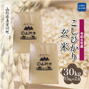 【ふるさと納税】 令和6年産 真室川町 コシヒカリ ＜玄米＞ 30kg（15kg×2袋）