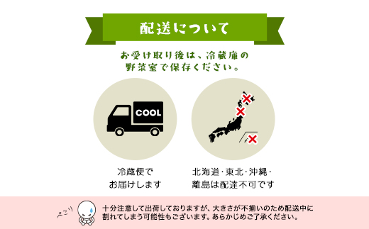 7月3日まで！！！ ＼数量限定／ 坪井農園 こだわりトマト【訳あり】3.5kg 期間限定 限定 トマト とまと 訳あり 訳アリ 不揃い ふぞろい 不揃いトマト 不揃いとまと 期間限定 人気 規格外 3