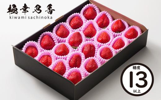 74-49_02【2月発送】園村苺園　★糖度13度以上保証★ブランド苺「極幸乃香（きわみさちのか）」