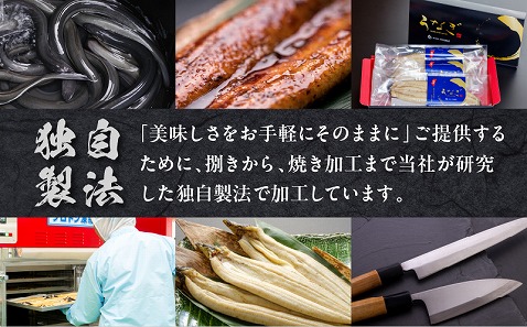 超特大うなぎ白焼2尾セット