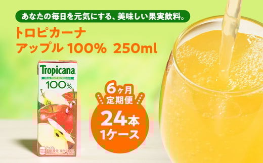 
            【定期便6ヶ月】トロピカーナ 100％ アップル 250ml LLスリム×24本 ※離島への配送不可
          