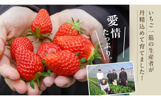 《 2027年 収穫分 》 完熟 かおり野 260g×4パック KEK 国産 いちご イチゴ 苺 くだもの 果物 フルーツ 冬 春 旬 [BC032sa]