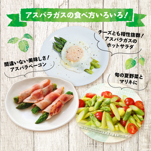 アスパラガス 1.6kg 令和7年産 アスパラ アスパラ アスパラ アスパラ アスパラ アスパラ アスパラ  C01_01