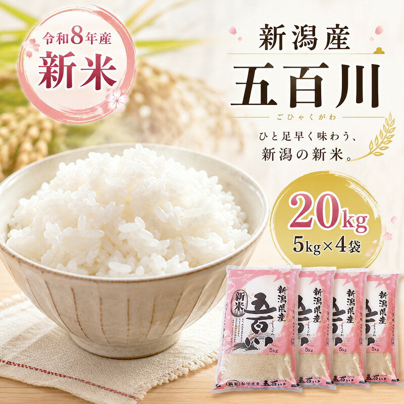 【ふるさと納税】令和8年産新米新潟産五百川20kg（5kg×4本）　お届け：2026年8月下旬～10月下旬まで