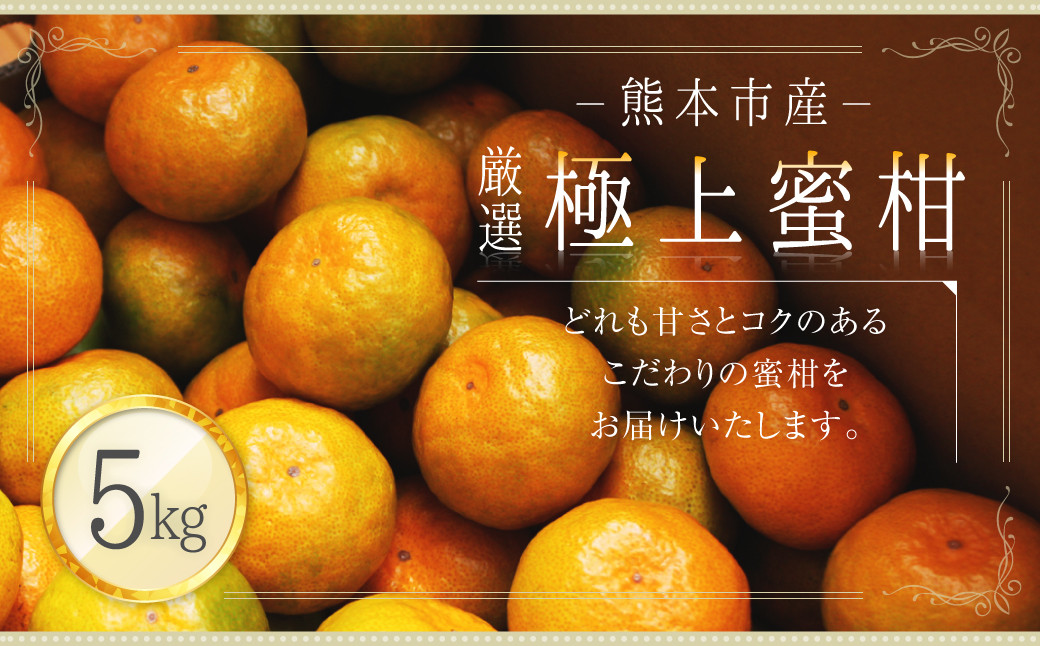 
                  熊本市産 厳選 極上蜜柑 5kg 【2026年9月上旬～2027年1月下旬迄発送予定】 みかん ミカン 柑橘 フルーツ 果物
                