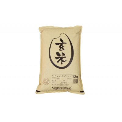 ふるさと納税 栗原市 【令和7年産】宮城栗原産 つや姫 玄米10kg (10kg×1袋)
