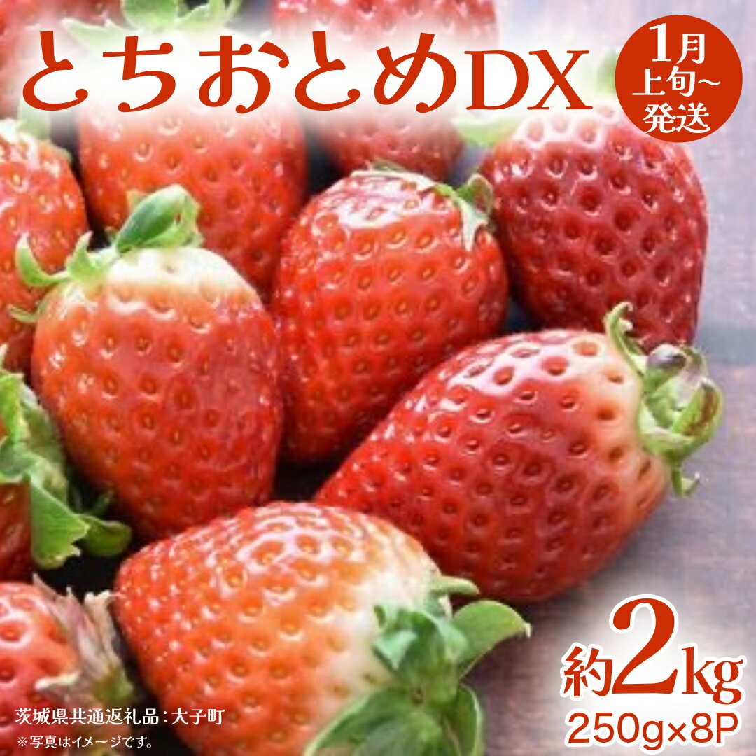 【ふるさと納税】とちおとめ DX 約2kg (250g×8P)【2026年1月上旬発送開始】(茨城県共通返礼品：大子町) 苺 いちご イチゴ 果物 フルーツ おやつ