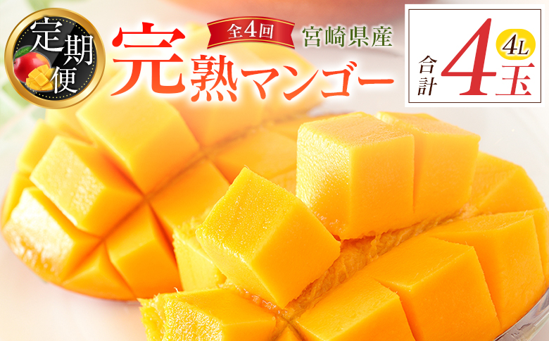 宮崎特産「完熟マンゴー4L×1玉」お届け定期便（全4回）計4玉 特産 国産 果物 フルーツ 旬 産地直送 大玉【E221-26】
