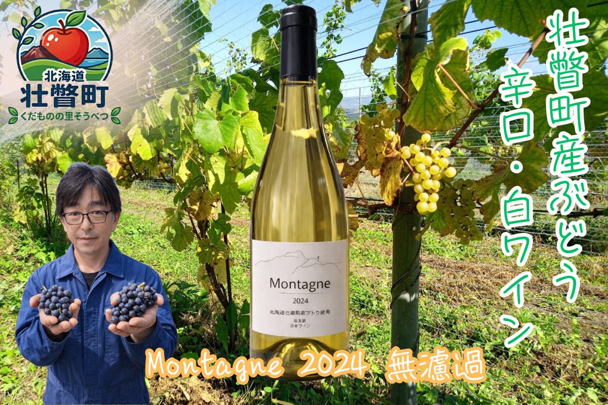 
                  昭和新山ワイン Montagne 2024 無濾過(モンターニュ） 白ワイン 辛口 750ml 1本 【ふるさと納税 人気 おすすめ 白ワイン 昭和新山 ワイン 白 辛口 お酒 壮瞥町産 ぶどう 100％ ピノノワール シャルドネ ケヴェルツトラミネール 丹波ワイン 北海道 壮瞥町 送料無料】 SBTQ013
                