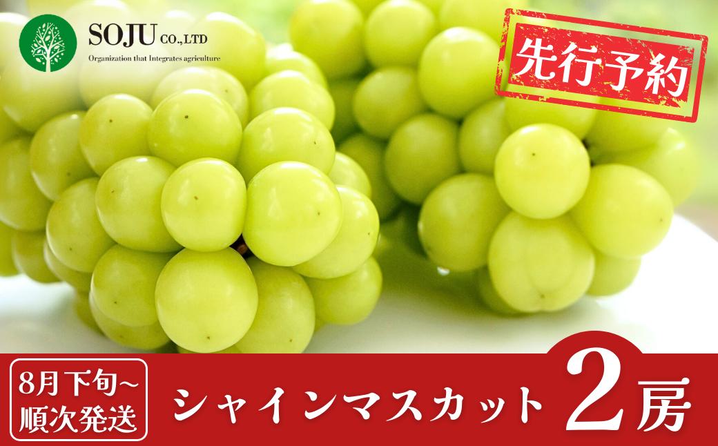 
            先行予約 シャインマスカット 2房 [8月下旬から発送予定] 令和7年度 贈答用 新潟県 三条市産 ぶどう [三条果樹専門家集団]【016P032】
          