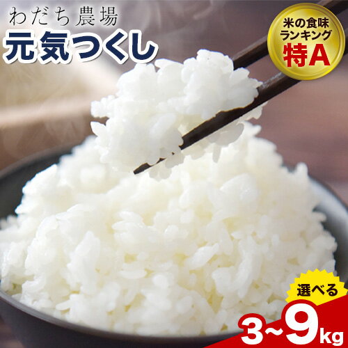 【ふるさと納税】【令和7年産】元気つくし 選べる 3kg 6kg 9kg 1袋3kg入り わだち農場《30日以内に出荷予定(土日祝除く)》福岡県 鞍手郡 鞍手町 米 コメ 元気つくし 袋 ちらし寿司 こめ