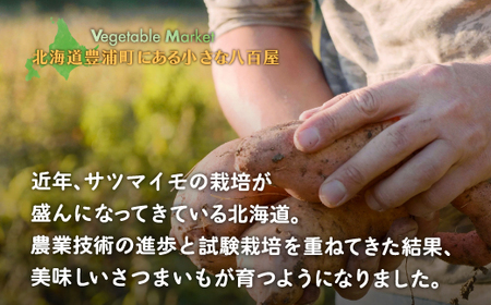北海道 豊浦 さつまいも シルクスウィート 約4kg 【土付き サイズ混合・不揃い】 TYUB005