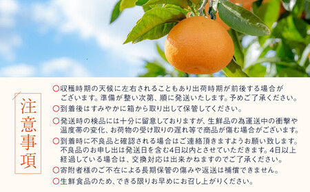 訳あり 春峰 1kg M～2Lサイズおまかせ 高石垣ファーム