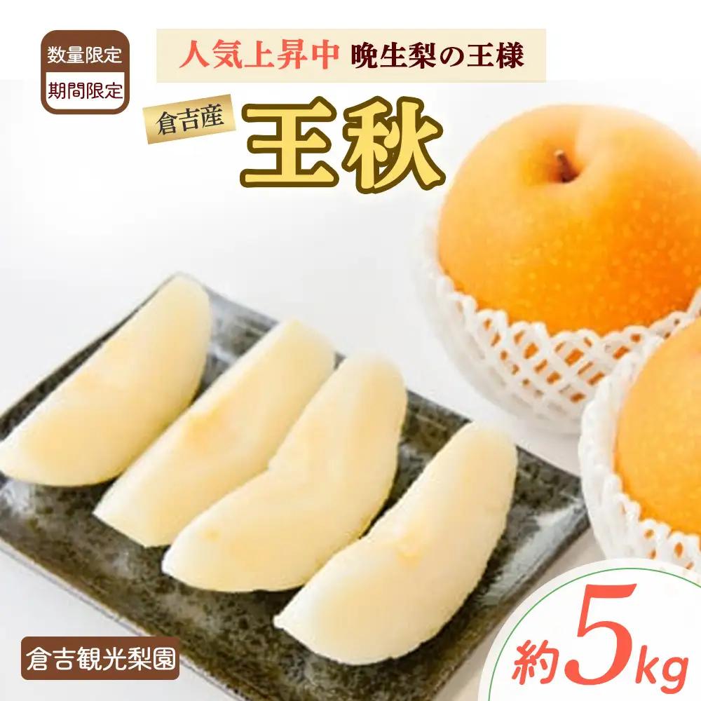 王秋 梨 5kg 【倉吉産】（倉吉観光梨園） 梨