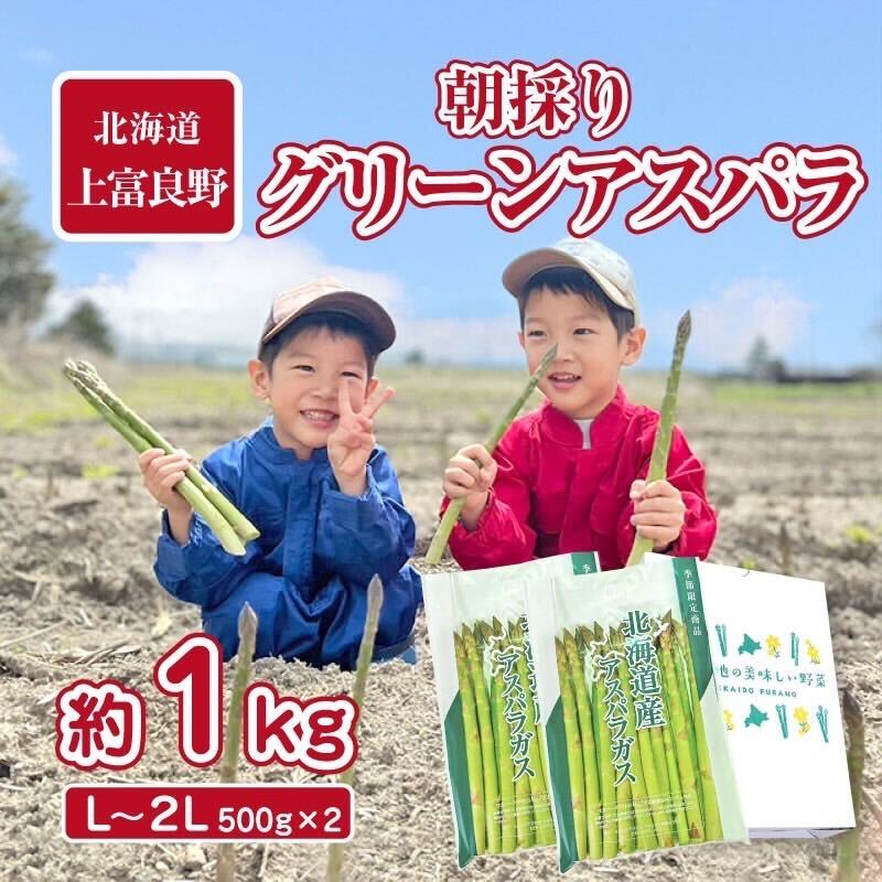 【ふるさと納税】【2025年分先行予約】 アスパラガス 専門農家 の 特選 グリーン アスパラ 1kg L～2L 原農園 アスパラ あすぱら 野菜 北海道 上富良野町　お届け：2026年5月中旬～6月中旬まで