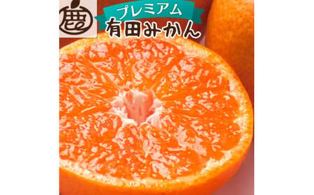 【先行予約】プレミアム有田みかん 10kg+250g（傷み補償分） ※11月より発送(完熟)【光センサー選果】 ※北海道・沖縄・離島配送不可 /みかん ミカン 果物 果実 有田 和歌山 フルーツ オレンジ【ikd215】