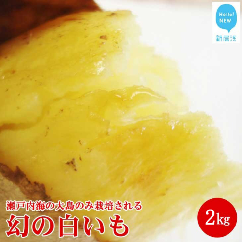 【先行予約】【数量限定】 新居浜大島産 幻のさつまいも 『白いも』 2kg 七福芋 白芋 希少