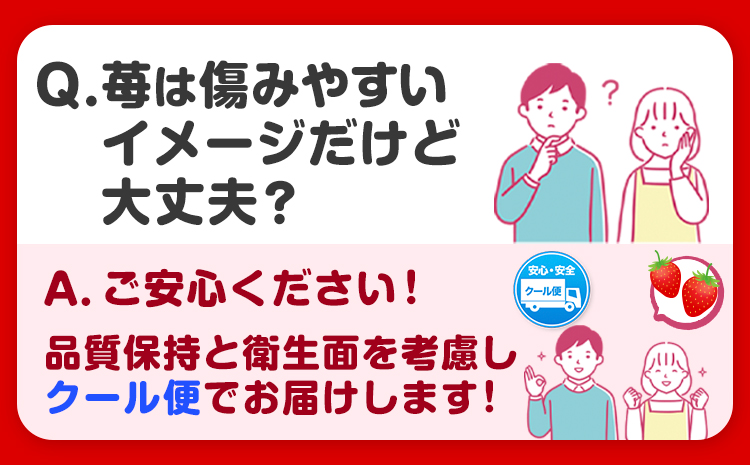 いちご まりひめ 約500g (250g×2パック) お試し パック 苺 イチゴ 紀の里農業協同組合《2026年2月中旬-3月末頃出荷》 和歌山県 紀の川市 青果物 果物 くだもの フルーツ スイーツ