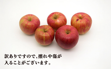 訳あり サンふじりんご 無印品 5kg 山形県産 令和8年産 sb-risfw5