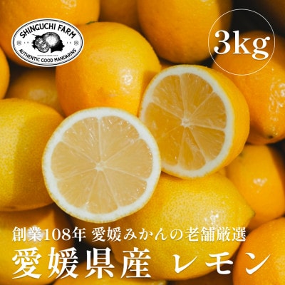 愛媛県産レモン 3kg【防腐剤・ワックス不使用】新口農園【C70−20】【1470687】