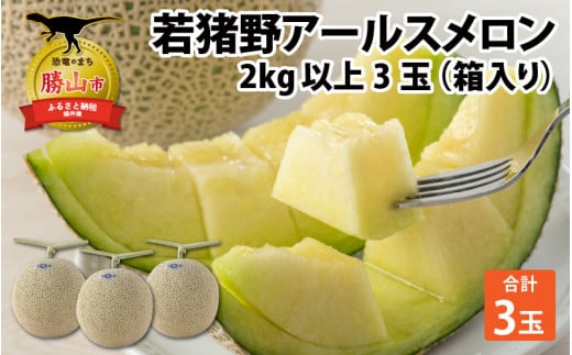【令和8年産　先行予約】若猪野アールスメロン 2kg 以上 3玉 箱入り ※2026年8月下旬より順次発送 [A-011015]