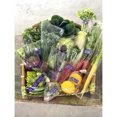 ふるさと納税 鎌倉市 鎌倉いちばブランド野菜詰め合わせ |  | 01