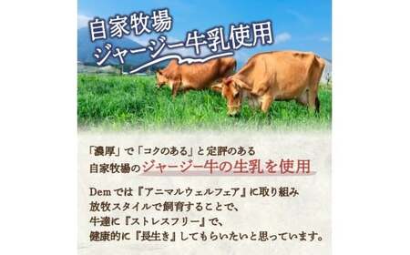 【自家牧場ジャージー牛乳使用】Demのバケツジェラート 3kg （ ジェラート ジャージー牛乳 新鮮 フレーバー 濃厚 自家牧場 手作り アイス 宮崎県小林市 ）