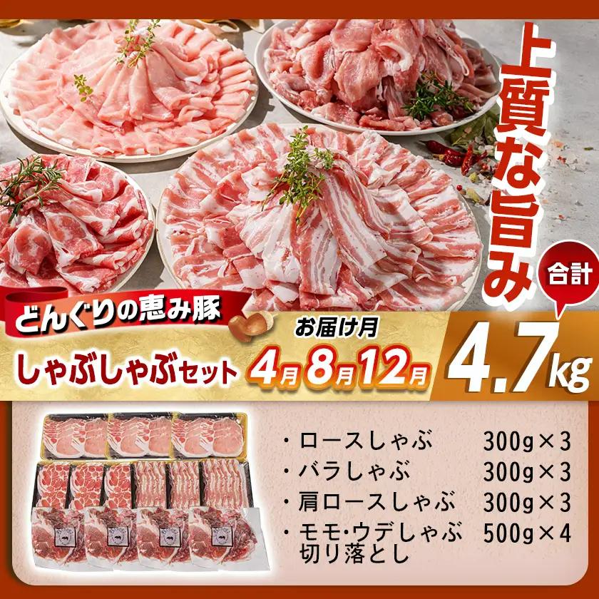 「どんぐりの恵み豚」お肉満載定期便(10ヶ月)〔T120(10)-1102〕_(都城市) 豚肉 ロースかつ 豚バラスライス 肩ローススライス こま切れ 切落し スペアリブ ロースしゃぶ バラしゃぶ 肩