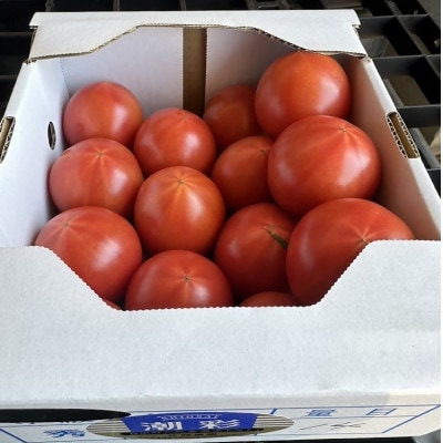 高糖度　潮彩トマト　約1kg