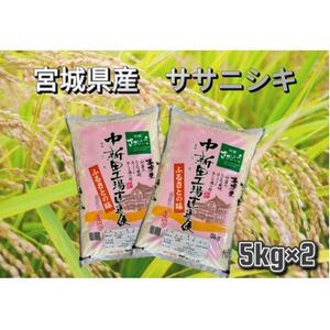 【令和6年産】宮城県産　ササニシキ　精米　10kg(5kg×2)【1458333】